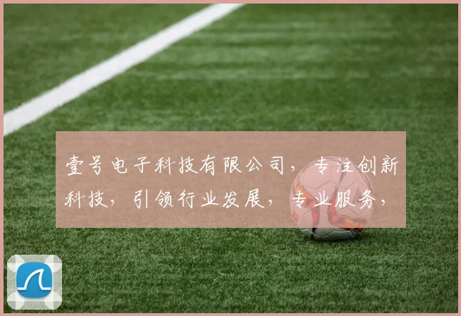 壹号电子科技有限公司，专注创新科技，引领行业发展，专业服务，值得信赖，助力企业腾飞