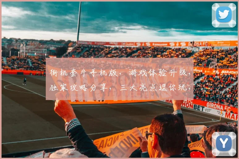 街机套牛手机版，游戏体验升级，独家攻略分享，三大亮点逗你玩，不容错过