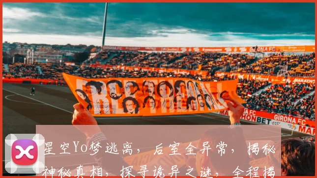 星空Yo梦逃离，后室全异常，揭秘神秘真相，探寻诡异之谜，全程揭秘