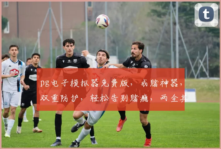 pg电子模拟器免费版，戒赌神器，双重防护，轻松告别赌瘾，两全其美
