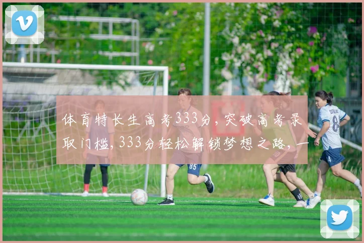 体育特长生高考333分,突破高考录取门槛,333分轻松解锁梦想之路,一考定乾坤