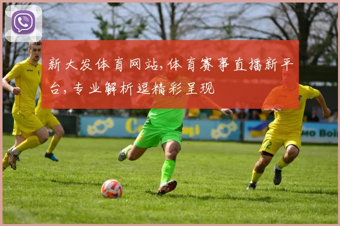 新大发体育网站,体育赛事直播新平台,专业解析逗精彩呈现